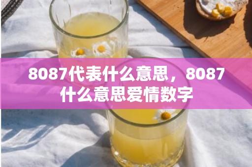 8087代表什么意思，8087什么意思爱情数字