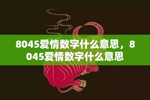 8045爱情数字什么意思，8045爱情数字什么意思