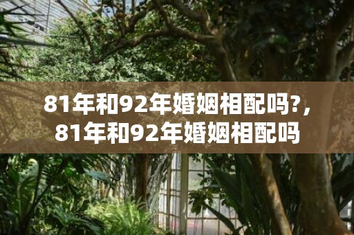 81年和92年婚姻相配吗?，81年和92年婚姻相配吗