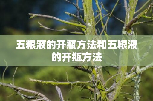 五粮液的开瓶方法和五粮液的开瓶方法