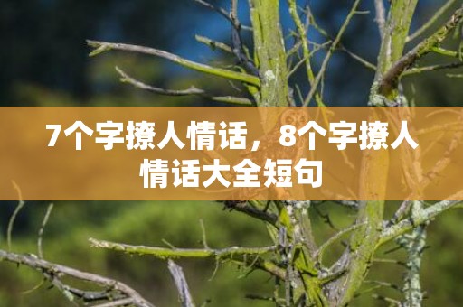 7个字撩人情话，8个字撩人情话大全短句