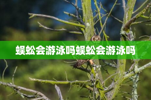 蜈蚣会游泳吗蜈蚣会游泳吗