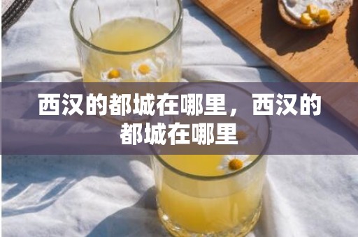 西汉的都城在哪里，西汉的都城在哪里