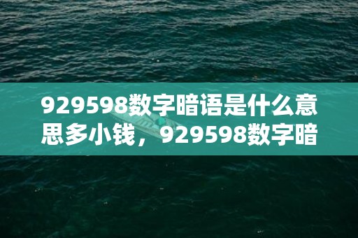 929598数字暗语是什么意思多小钱，929598数字暗语怎么来的