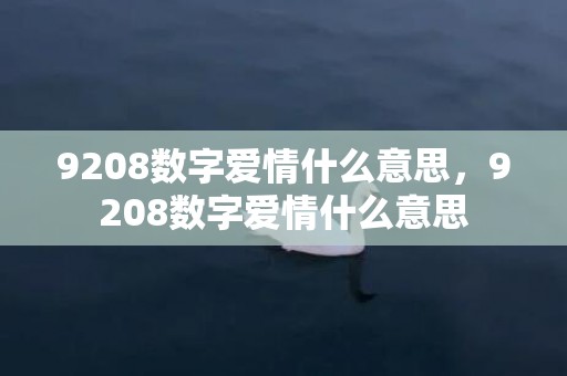 9208数字爱情什么意思，9208数字爱情什么意思