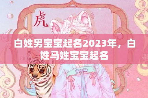 白姓男宝宝起名2023年，白姓马姓宝宝起名