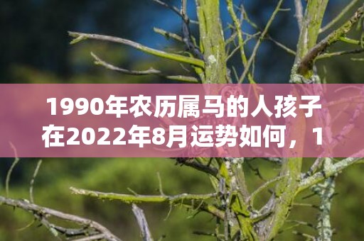 1990年农历属马的人孩子在2022年8月运势如何，1990年农历属什么生肖 最配的生肖是什么