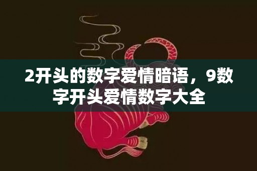 2开头的数字爱情暗语，9数字开头爱情数字大全