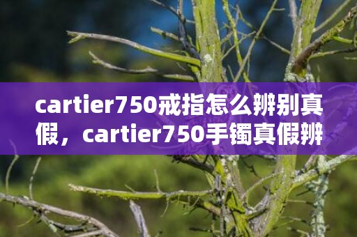 cartier750戒指怎么辨别真假，cartier750手镯真假辨别