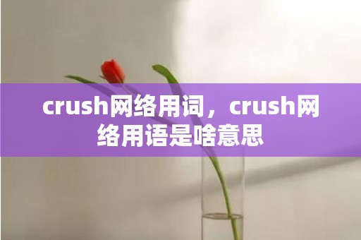 crush网络用词，crush网络用语是啥意思