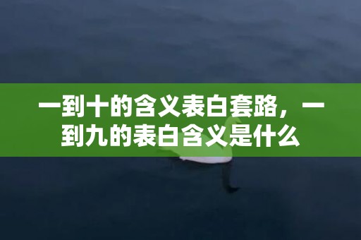 一到十的含义表白套路，一到九的表白含义是什么