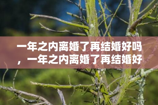 一年之内离婚了再结婚好吗，一年之内离婚了再结婚好吗