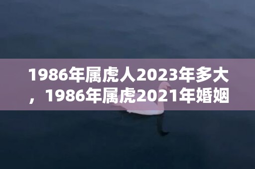 1986年属虎人2023年多大，1986年属虎2021年婚姻,适合结婚吗