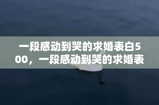 一段感动到哭的求婚表白500，一段感动到哭的求婚表白