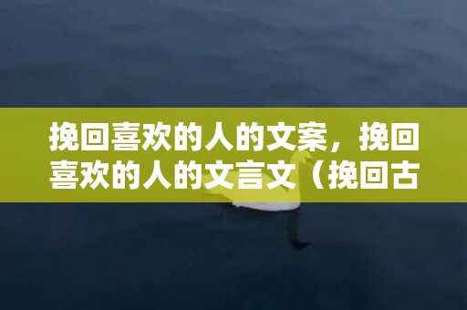 挽回喜欢的人的文案，挽回喜欢的人的文言文（挽回古文怎么说）