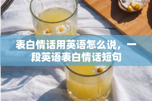 表白情话用英语怎么说，一段英语表白情话短句