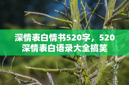 深情表白情书520字，520深情表白语录大全搞笑