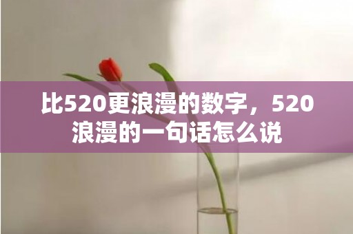 比520更浪漫的数字，520浪漫的一句话怎么说