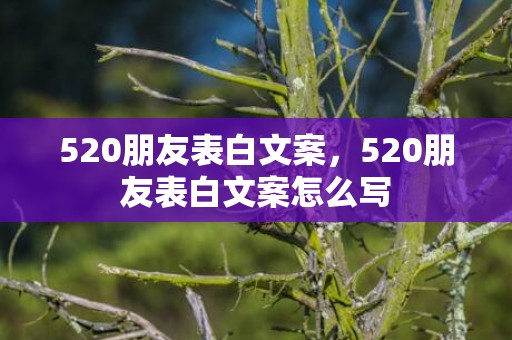 520朋友表白文案，520朋友表白文案怎么写