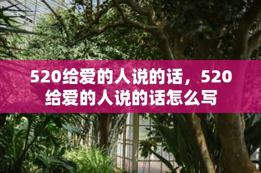 520给爱的人说的话，520给爱的人说的话怎么写