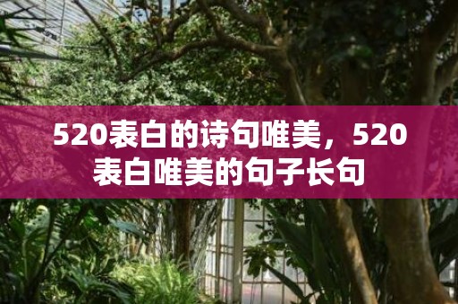 520表白的诗句唯美，520表白唯美的句子长句