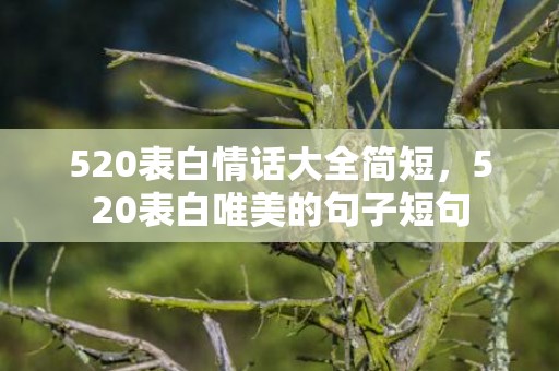 520表白情话大全简短，520表白唯美的句子短句