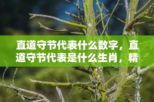 直道守节代表什么数字，直道守节代表是什么生肖，精选答案落实