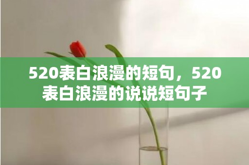 520表白浪漫的短句，520表白浪漫的说说短句子