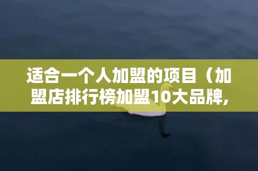 适合一个人加盟的项目（加盟店排行榜加盟10大品牌,适合一个人开的加盟店）