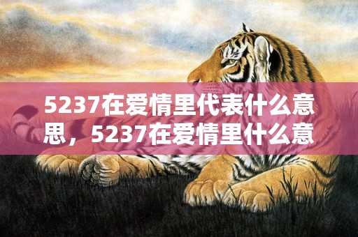 5237在爱情里代表什么意思，5237在爱情里什么意思