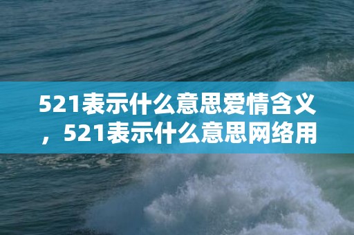 521表示什么意思爱情含义，521表示什么意思网络用语