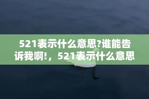 521表示什么意思?谁能告诉我啊!，521表示什么意思爱情含义