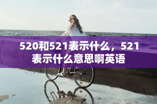 520和521表示什么，521表示什么意思啊英语