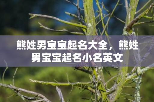 熊姓男宝宝起名大全，熊姓男宝宝起名小名英文