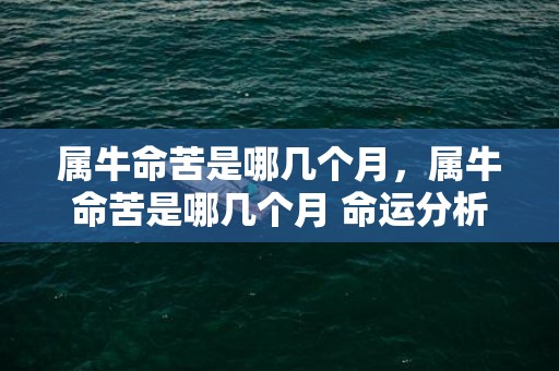 属牛命苦是哪几个月，属牛命苦是哪几个月 命运分析