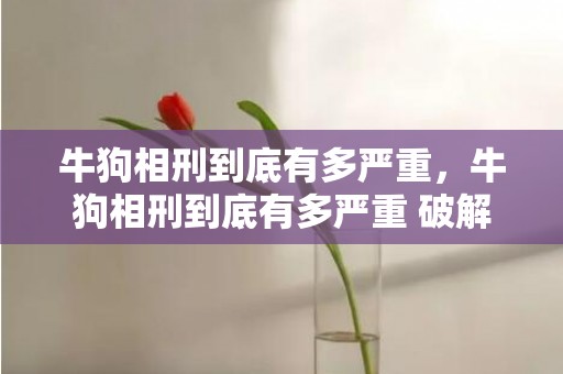 牛狗相刑到底有多严重，牛狗相刑到底有多严重 破解方法是什么