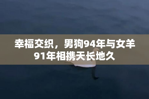 幸福交织，男狗94年与女羊91年相携天长地久