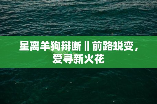 星离羊狗辩断‖前路蜕变，爱寻新火花