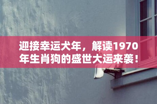 迎接幸运犬年，解读1970年生肖狗的盛世大运来袭！