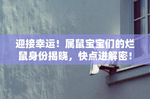 迎接幸运！属鼠宝宝们的烂鼠身份揭晓，快点进解密！