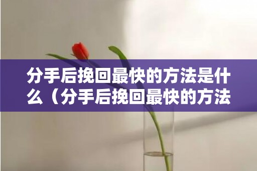 分手后挽回最快的方法是什么（分手后挽回最快的方法是什么心理）