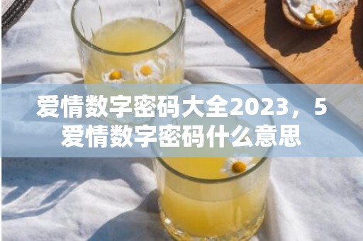 爱情数字密码大全2023，5爱情数字密码什么意思