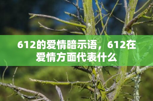 612的爱情暗示语，612在爱情方面代表什么