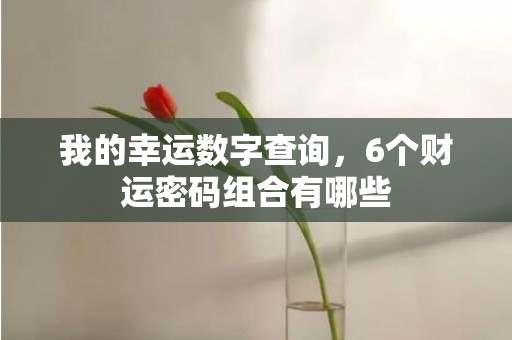 我的幸运数字查询，6个财运密码组合有哪些