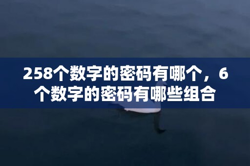 258个数字的密码有哪个，6个数字的密码有哪些组合