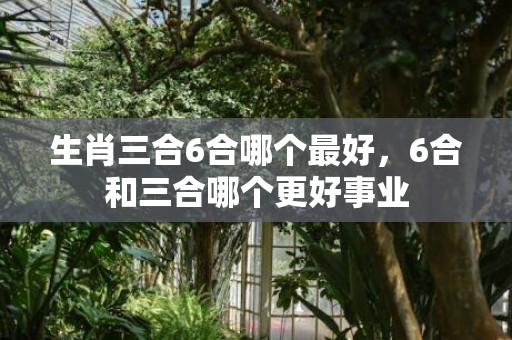 生肖三合6合哪个最好，6合和三合哪个更好事业