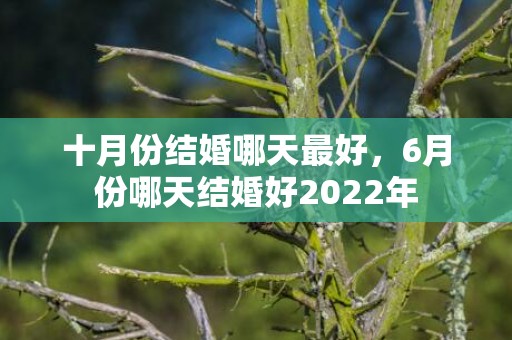 十月份结婚哪天最好，6月份哪天结婚好2022年