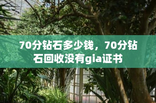 70分钻石多少钱，70分钻石回收没有gia证书