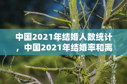 中国2021年结婚人数统计，中国2021年结婚率和离婚率