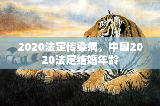 2020法定传染病，中国2020法定结婚年龄